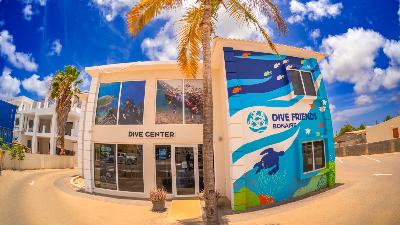 Dive Friends Bonaire - Image 1