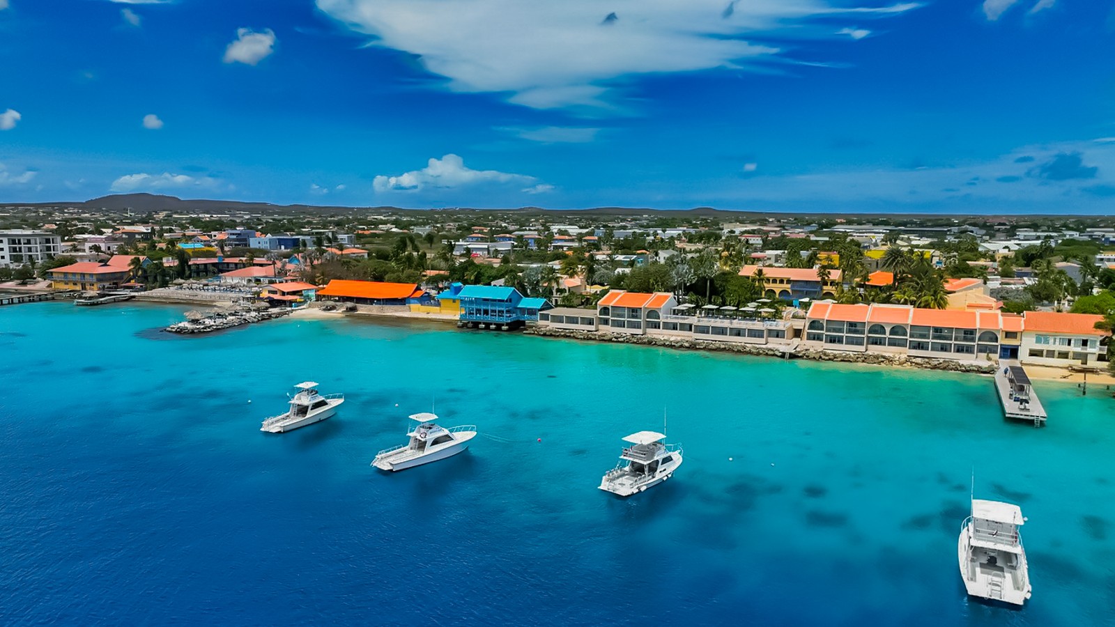 Divi Flamingo Beach Resort & Casino - Image 1