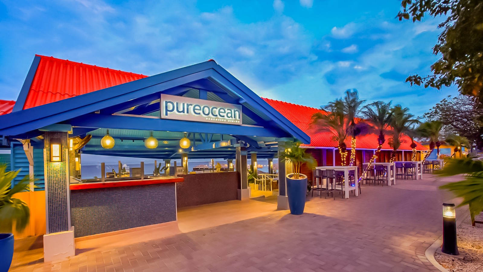 Divi Flamingo Beach Resort & Casino - Image 2