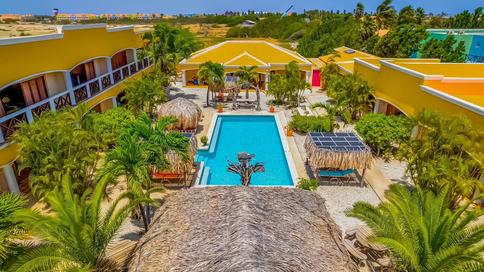 Djambo Bonaire - Image 3