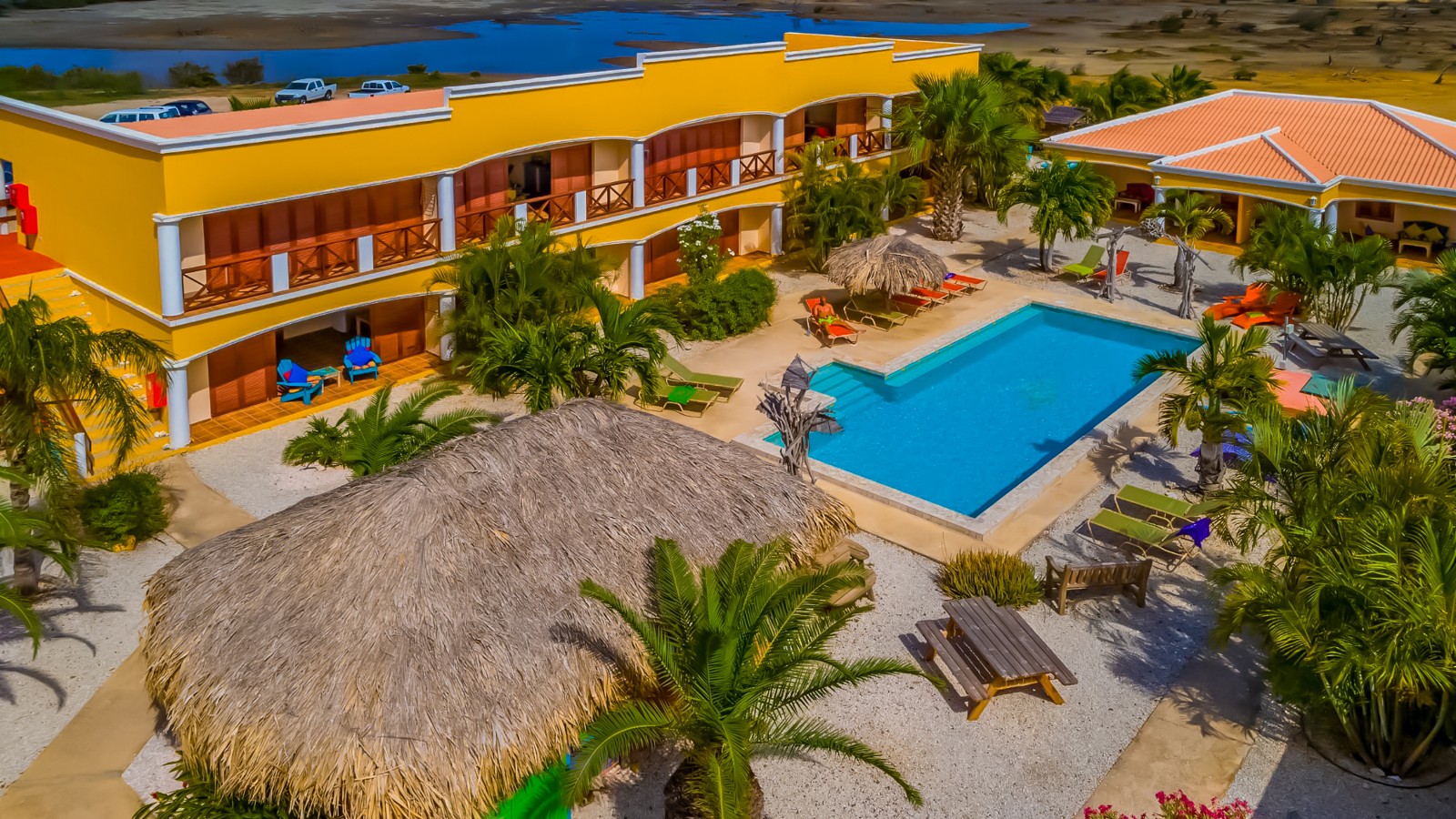 Djambo Bonaire - Image 4