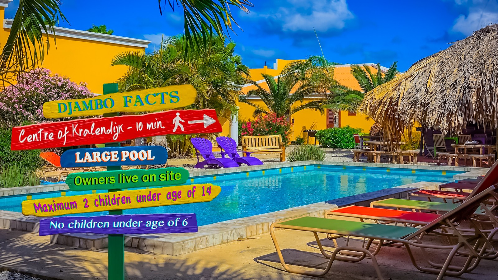 Djambo Bonaire - Image 6