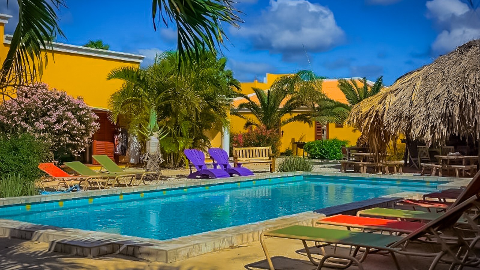 Djambo Bonaire - Image 5