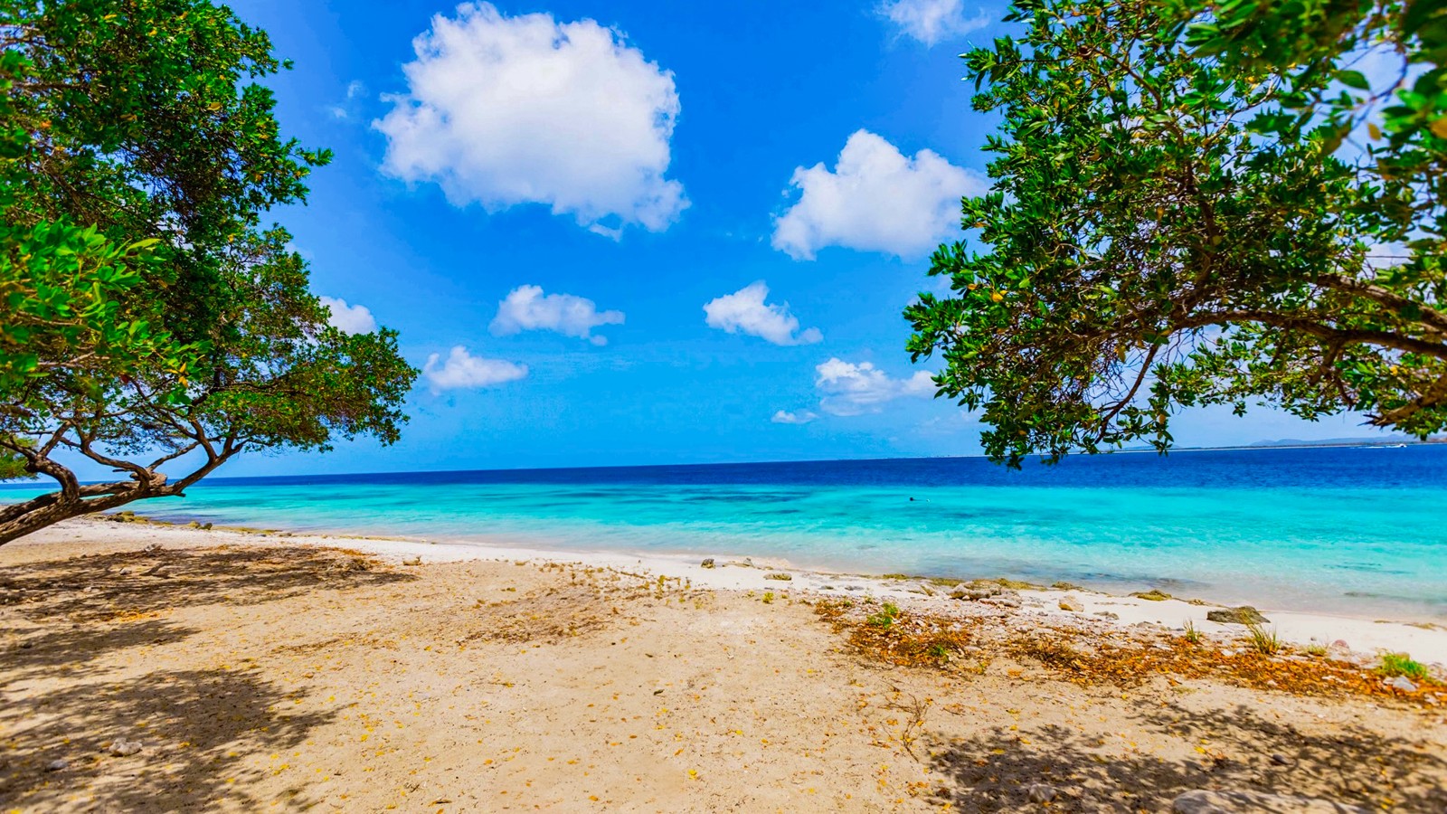 Donkey’s Beach - Image 2