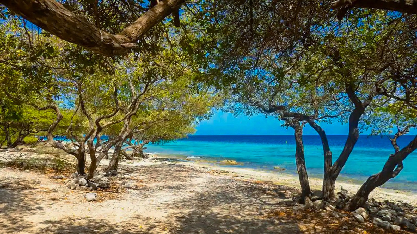 Donkey’s Beach - Image 3