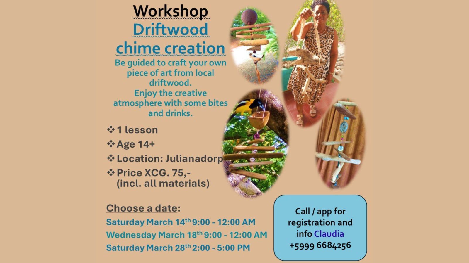 Driftwood Chime Creation Workshop - Image 1