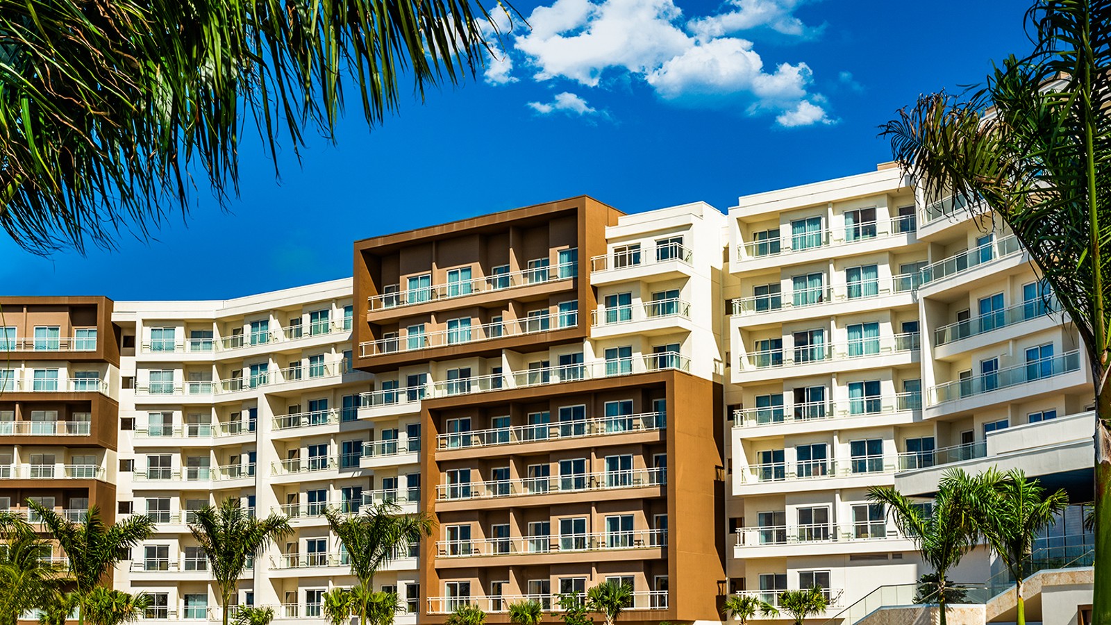 Embassy Suites by Hilton Aruba - Image 6