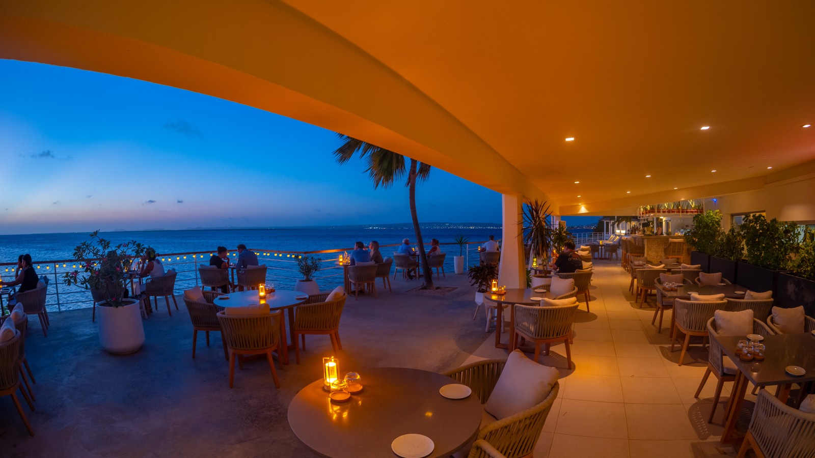 Flora Ocean Front Lounge - Image 4