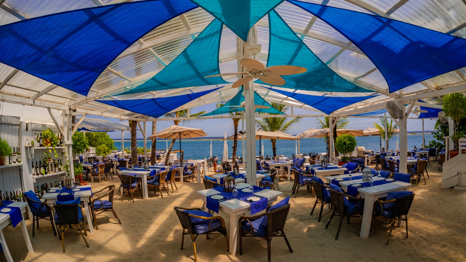 Flying Fishbone - Image 2