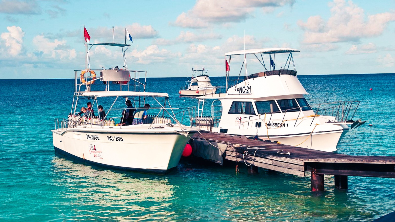 Go West Diving Curacao - Image 3