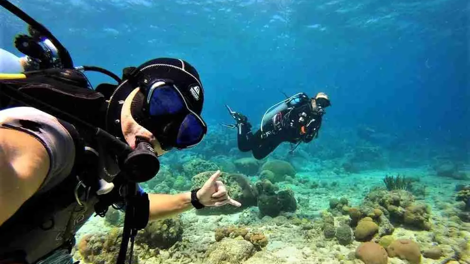 Guided Shore Dive (The Dive Bus) - Image 1