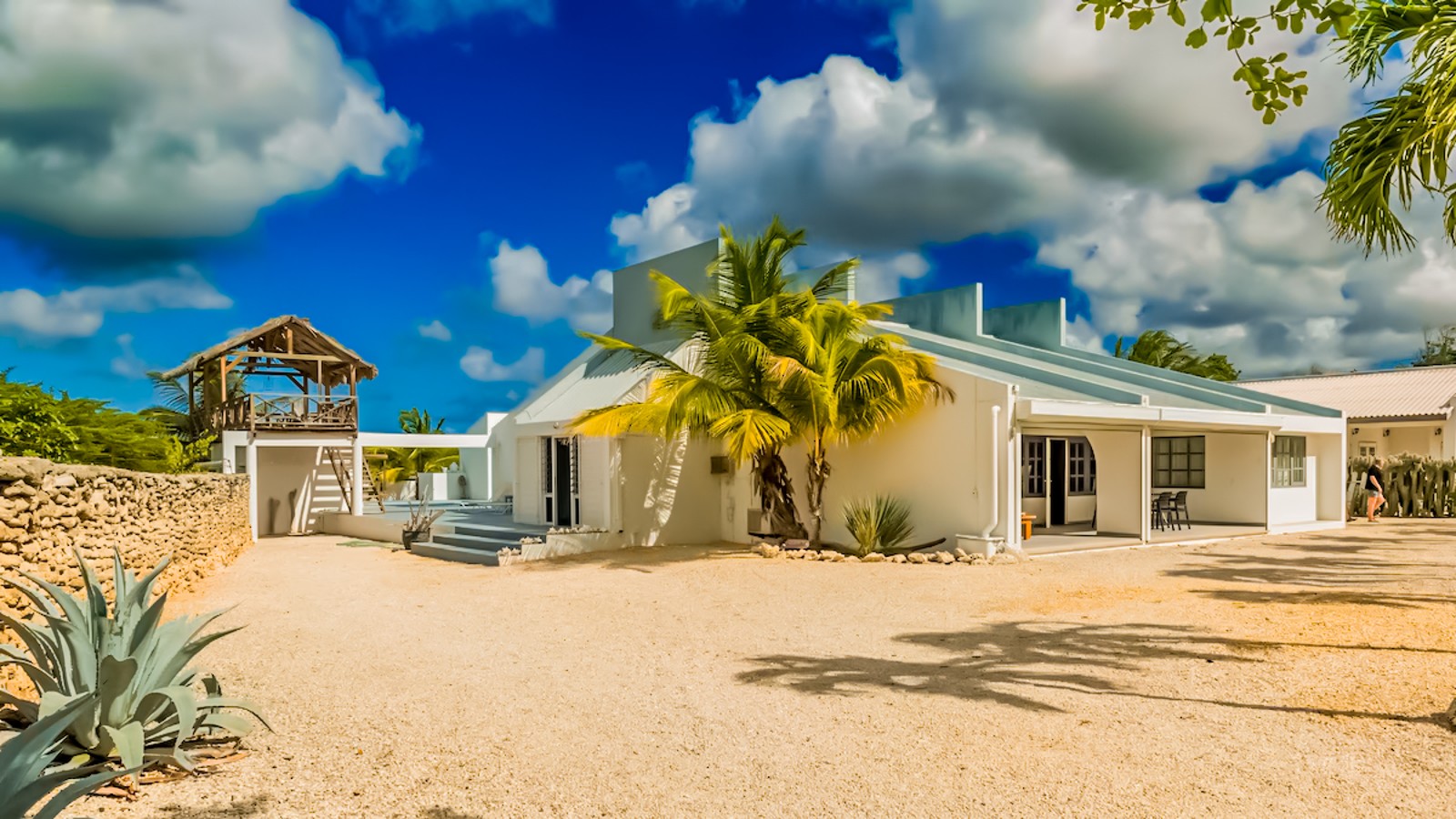 Hakuna Mata Bonaire - Image 1