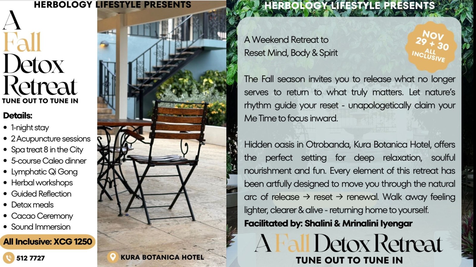 A Fall Detox Retreat – Herbology Lifestyle - Image 2