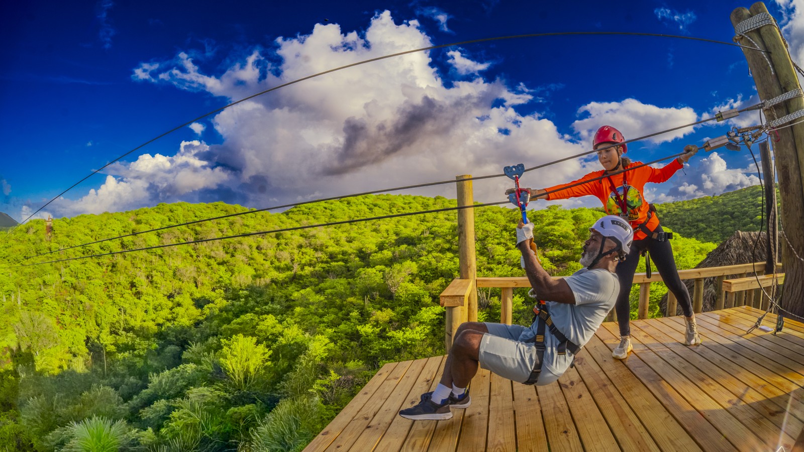 Hofi Mango - Image 5