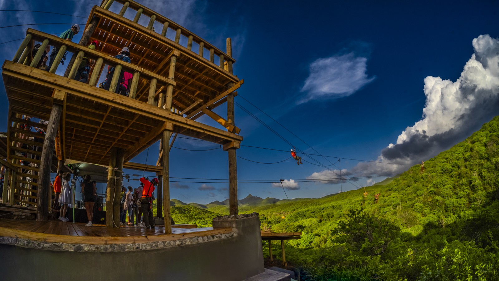 Hofi Mango - Image 7