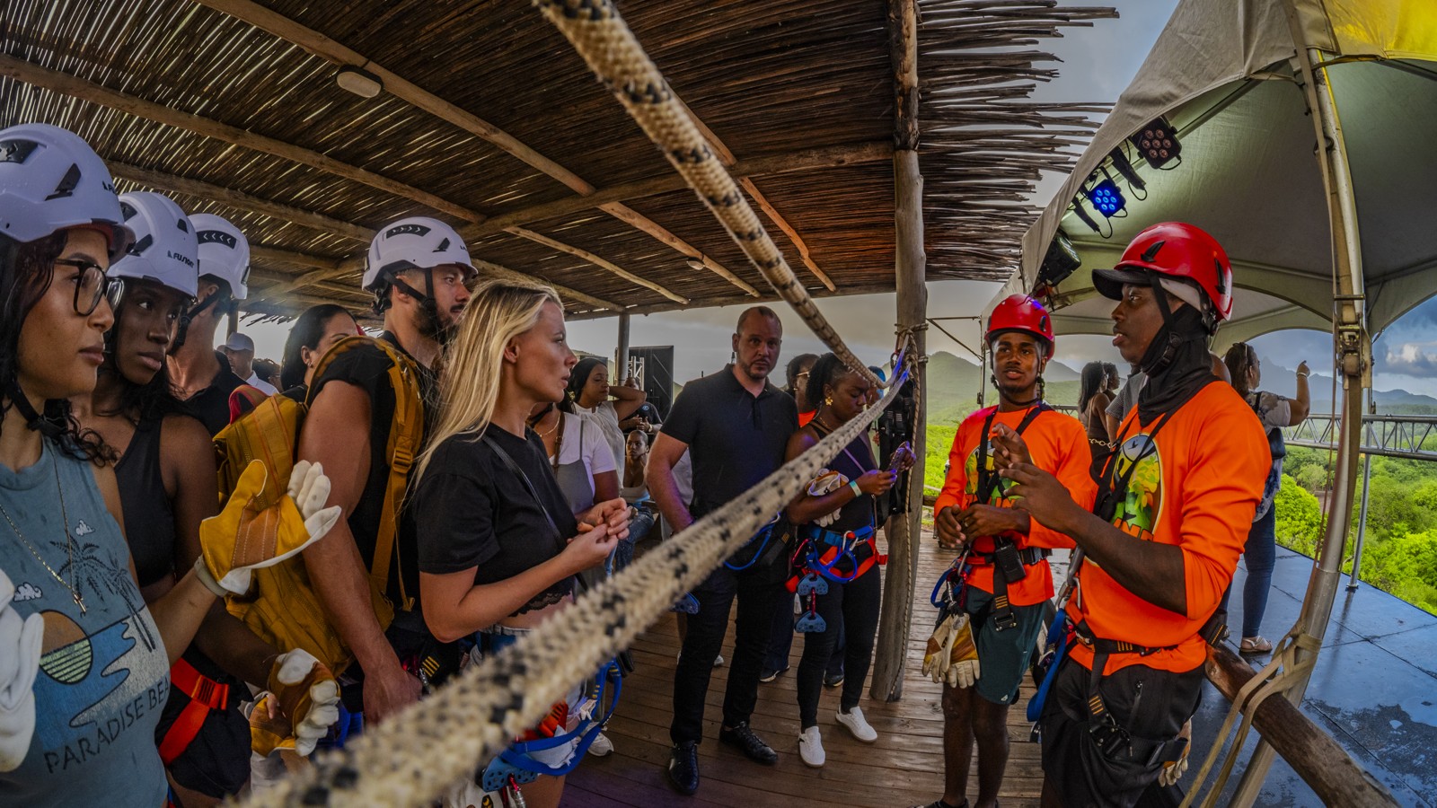 Hofi Mango - Image 11