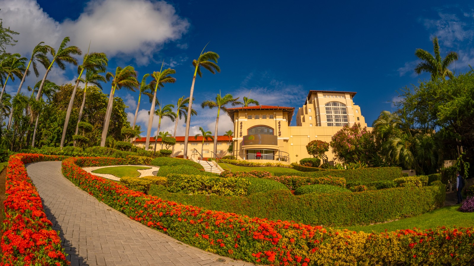 Hyatt Regency Aruba Resort, Spa & Casino - Image 1