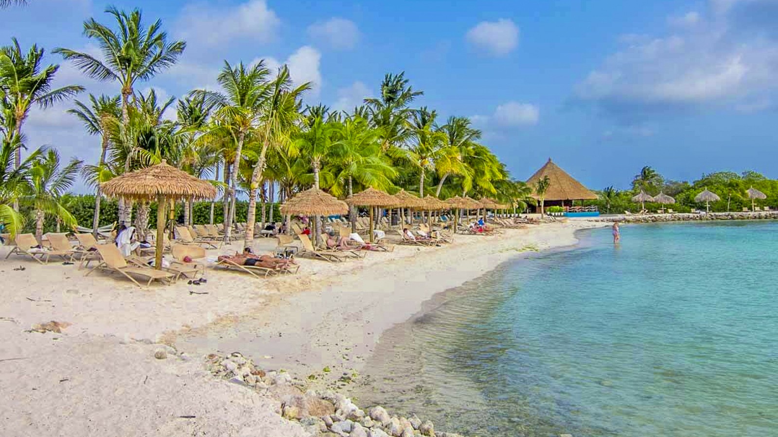 Iguana Beach - Image 2