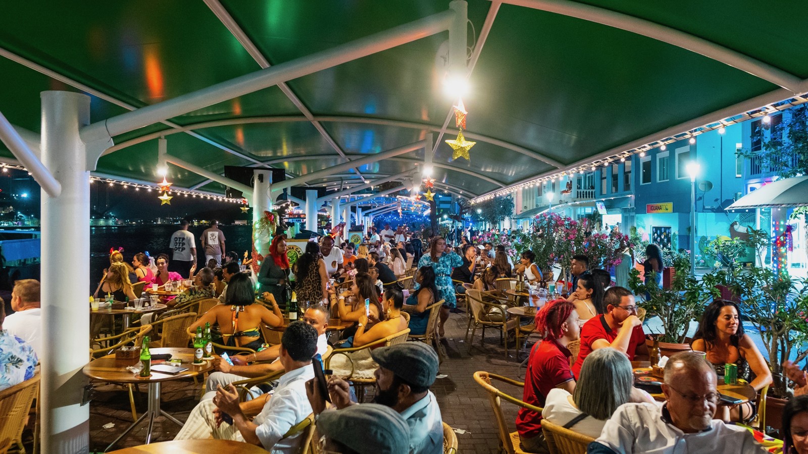 Iguana Cafe - Image 1