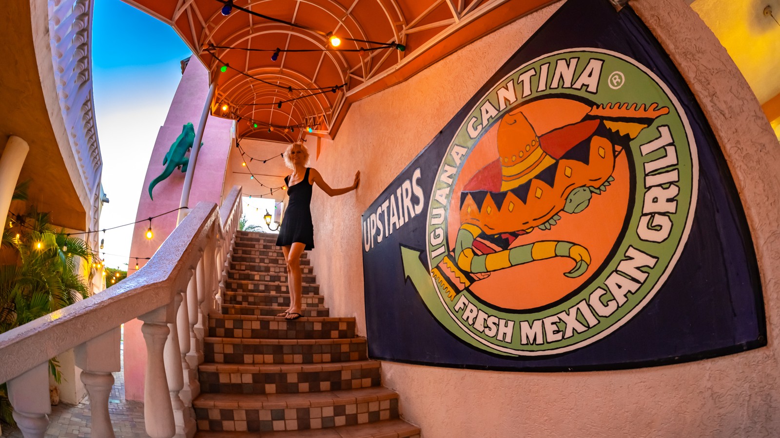 Iguana Cantina - Image 1