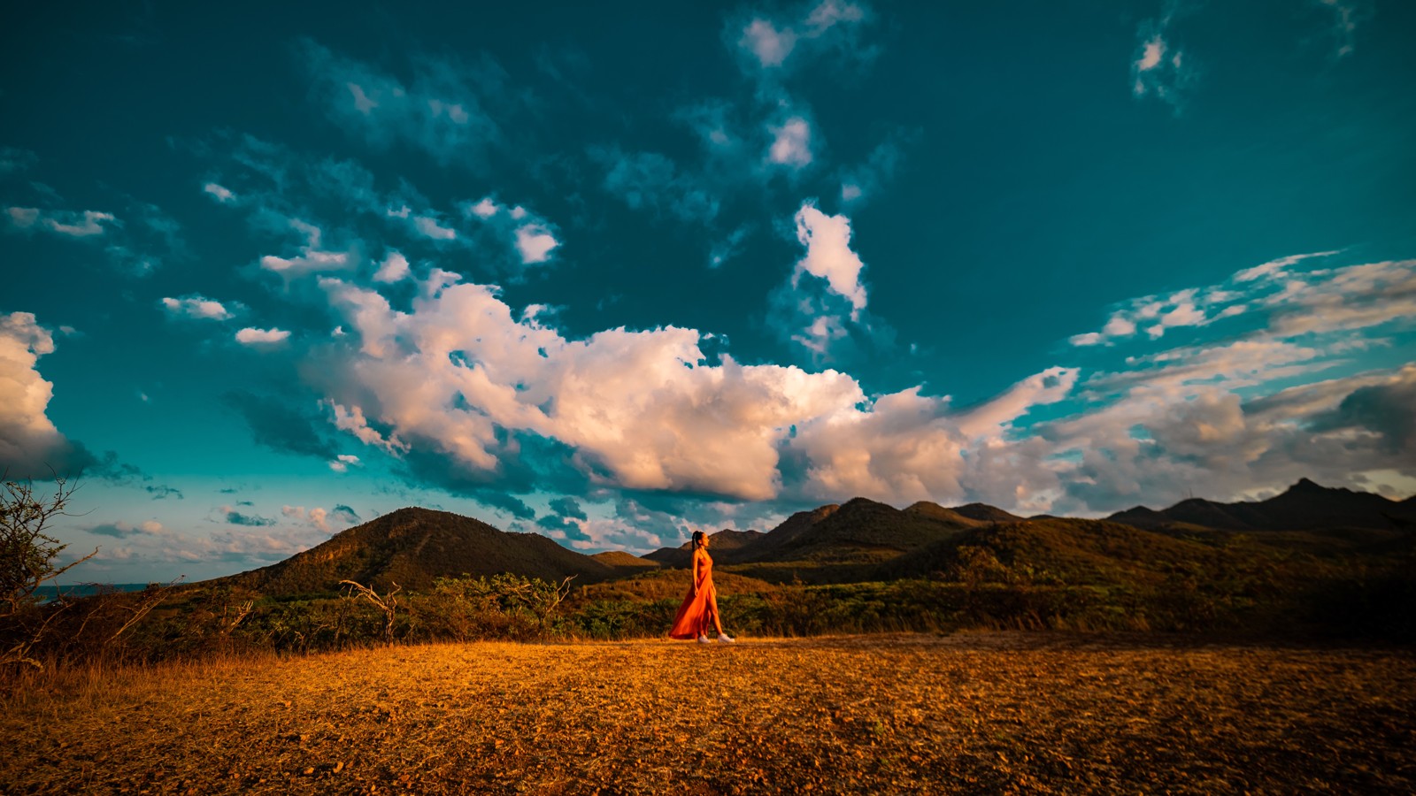 Hofi Mango National Park - Image 2