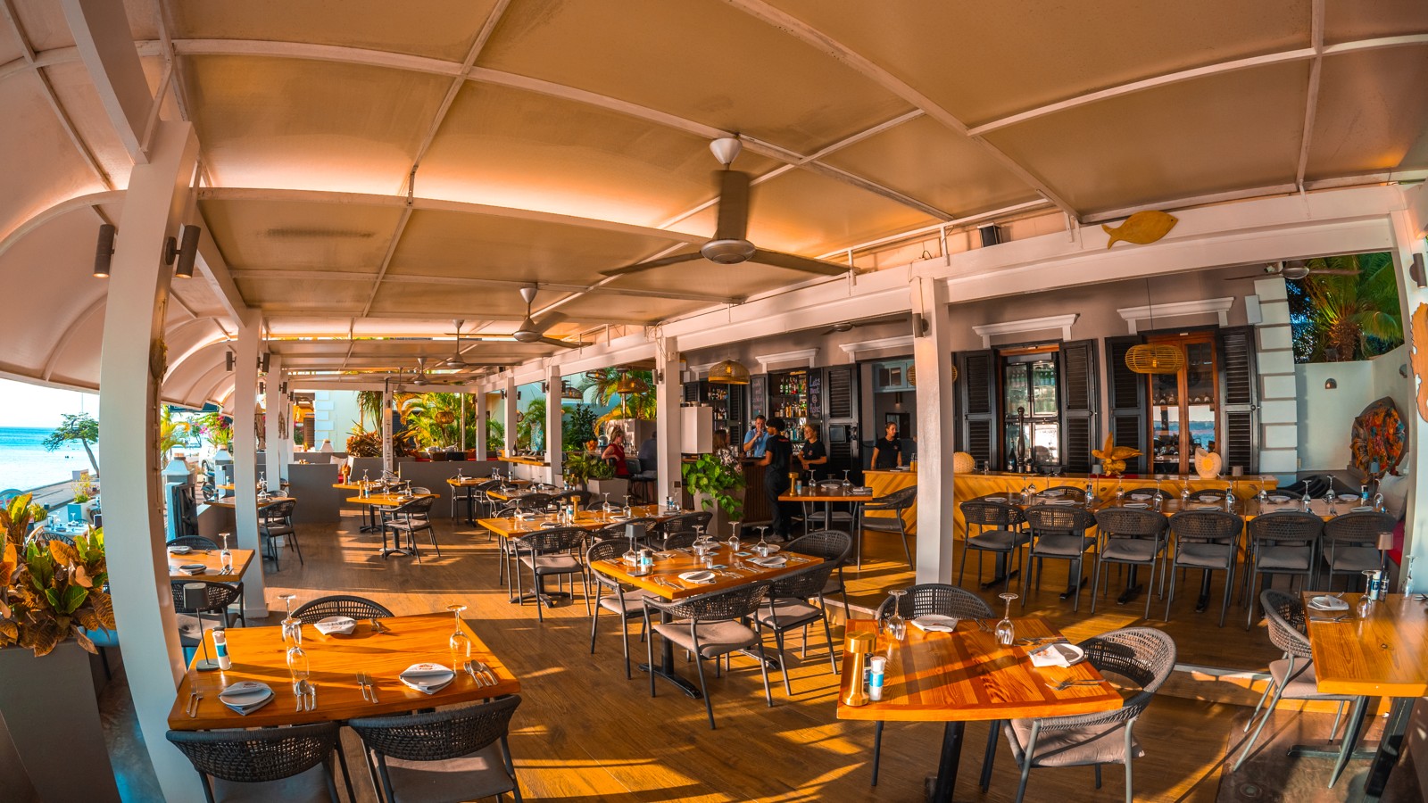 It Rains Fishes - Image 6