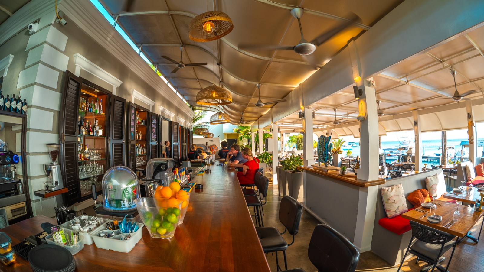 It Rains Fishes - Image 4