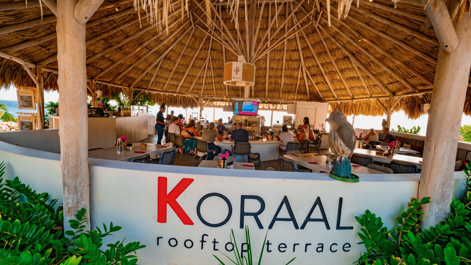 Koraal Rooftop Terrace - Image 2