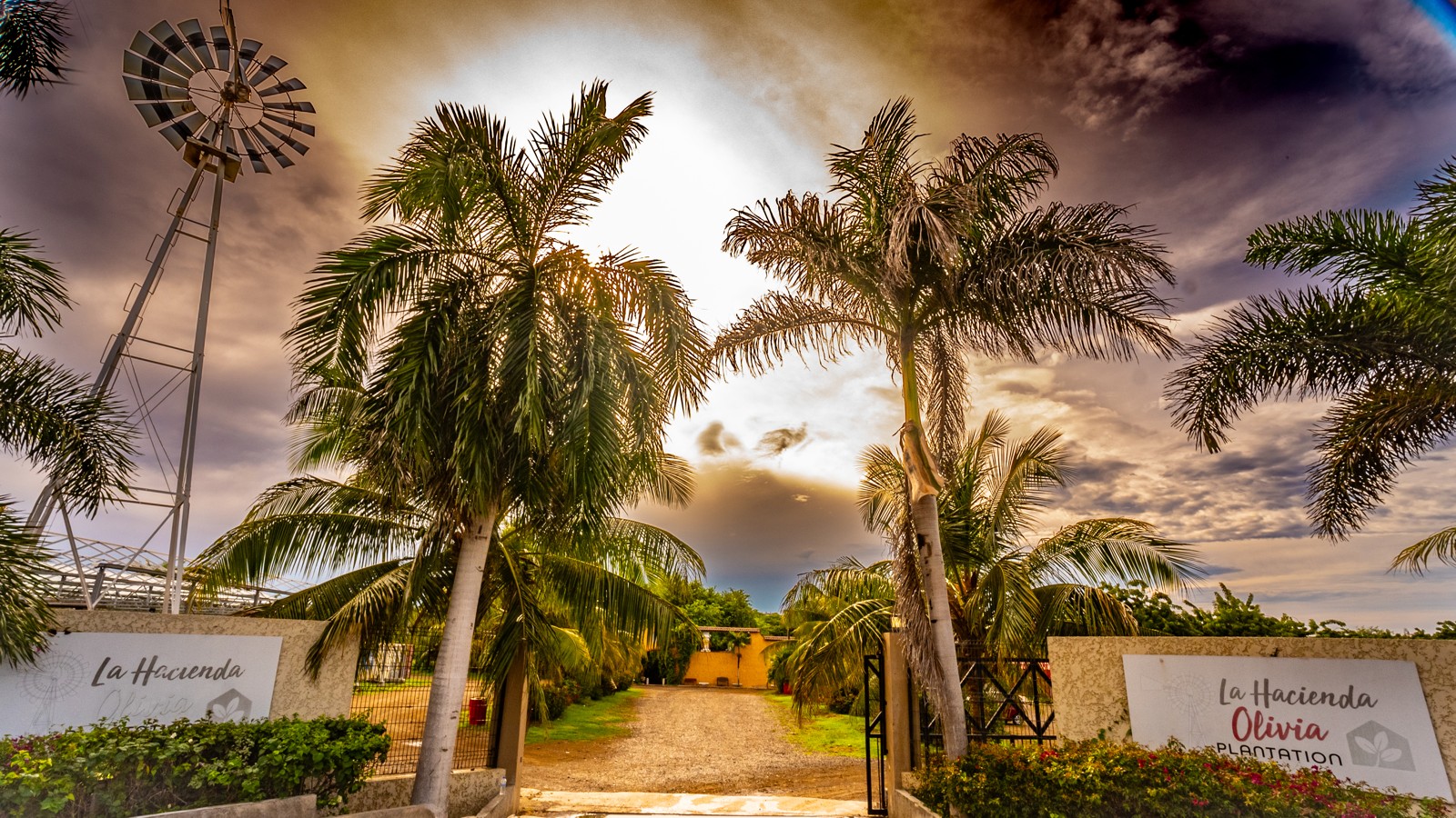 La Hacienda Olivia - Image 1