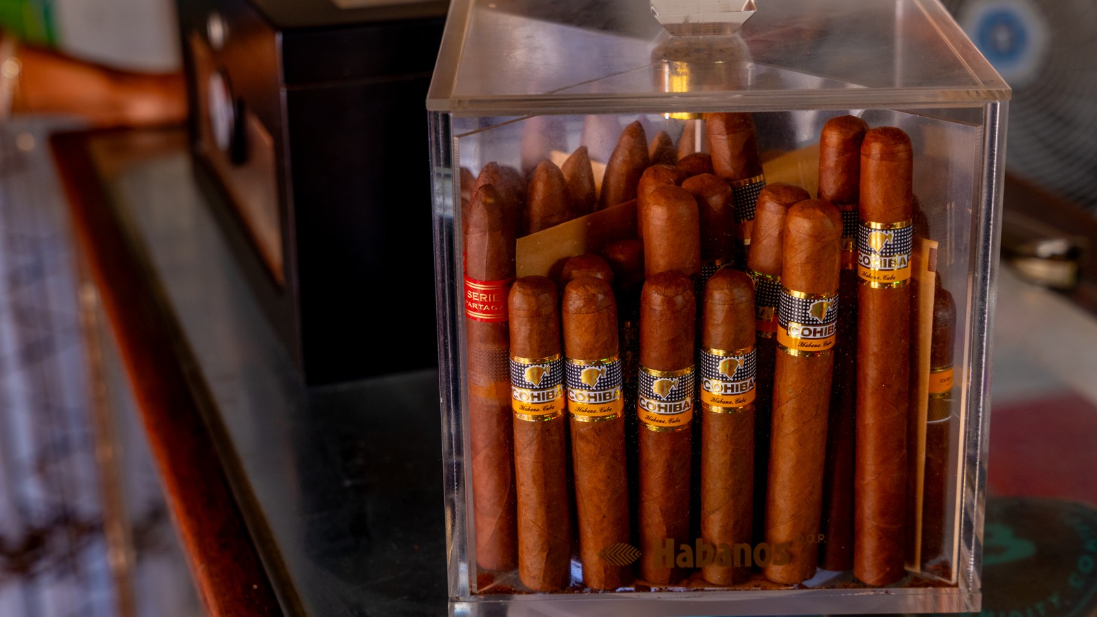 La Vitola - Gato - Image 5