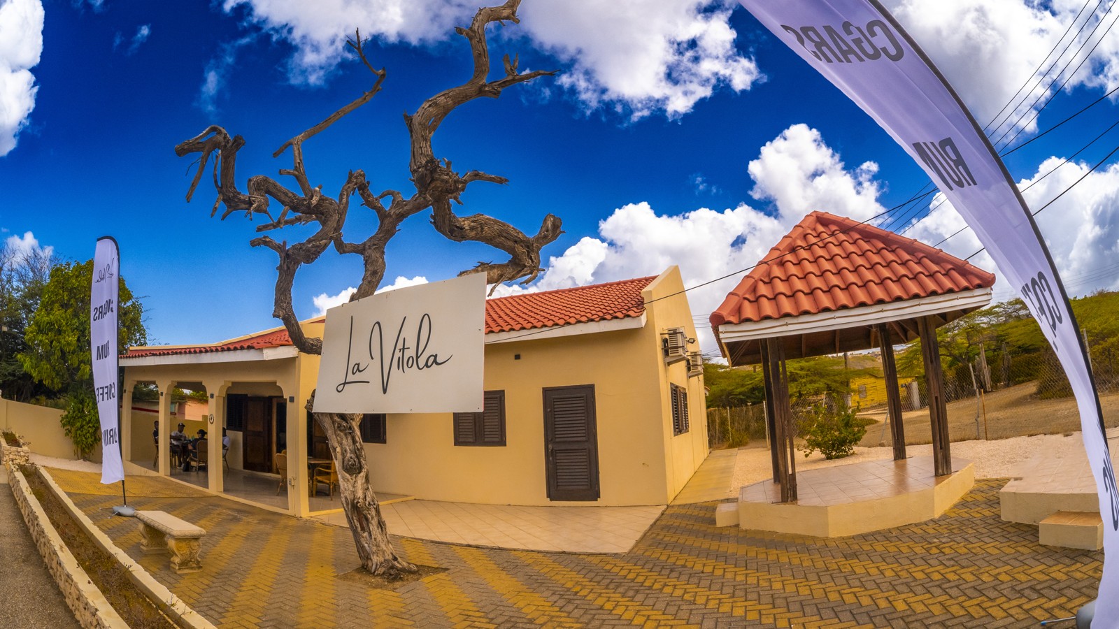 La Vitola - Gato - Image 3