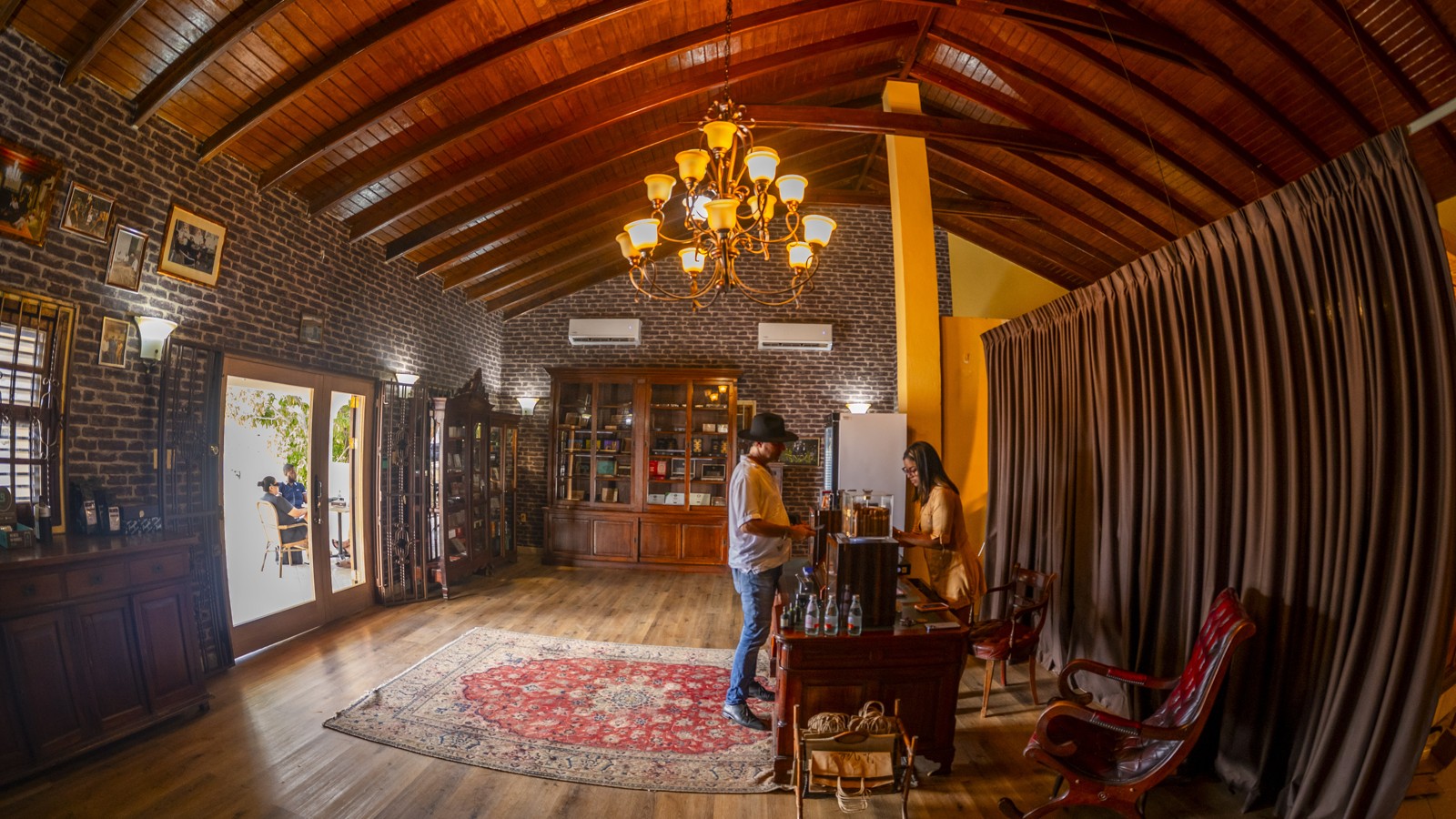 La Vitola - Gato - Image 4