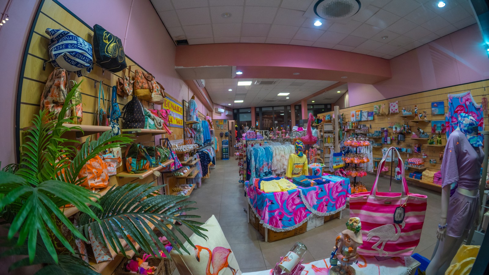 MG Bonaire - Image 2