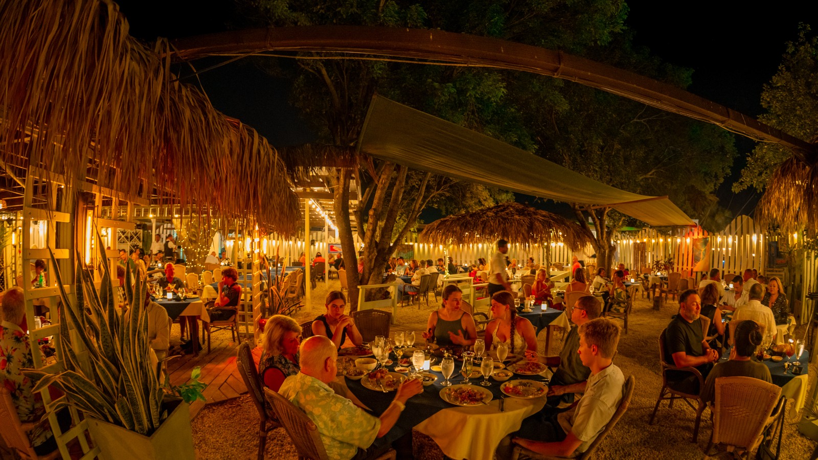 Madame Janette - Image 4