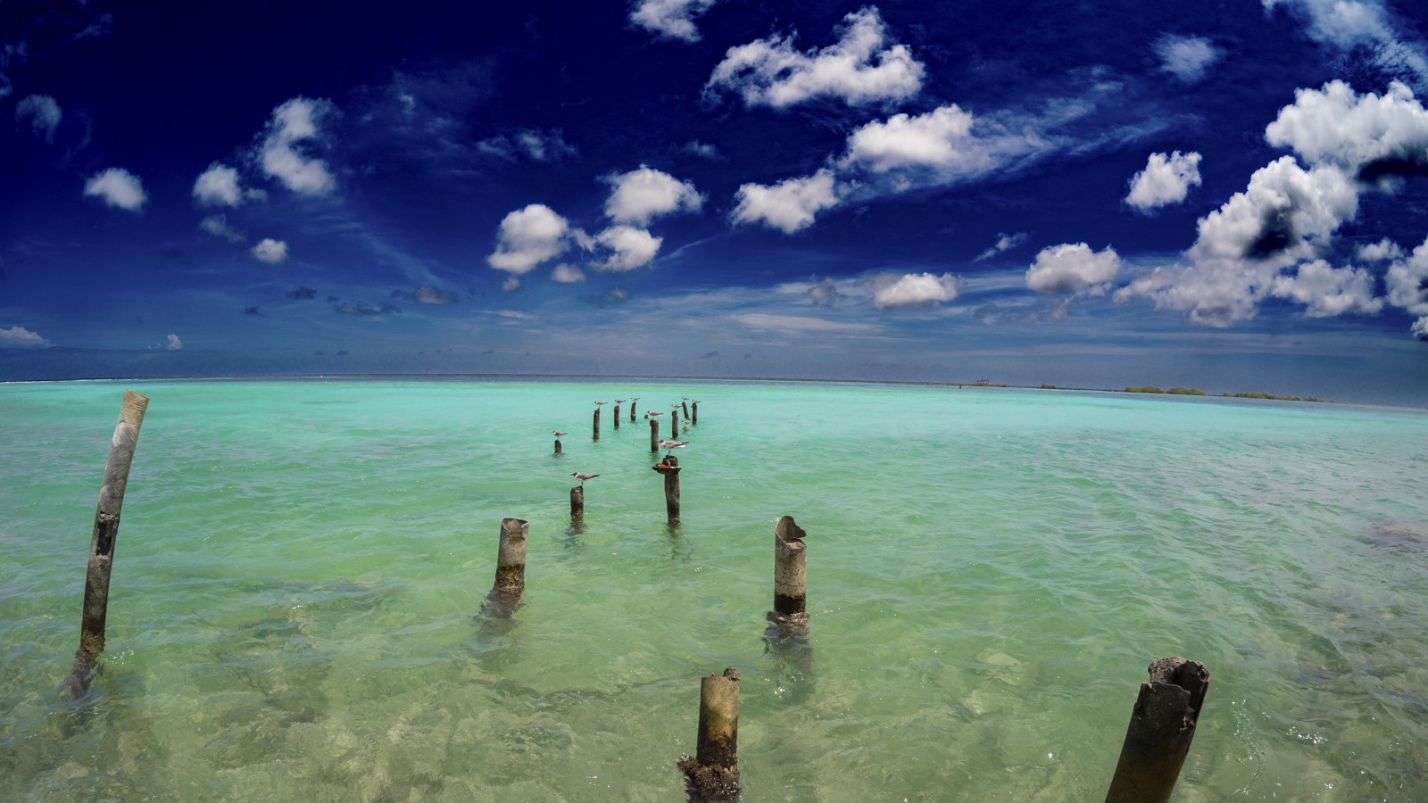 Mangel Halto - Image 1