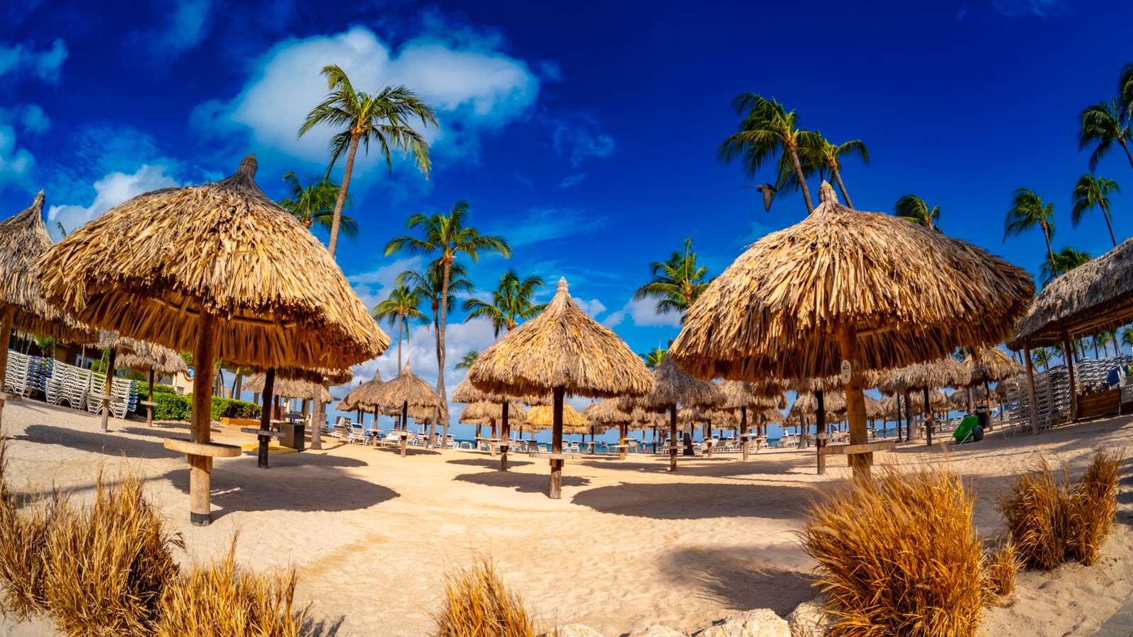 Aruba Marriott Resort & Stellaris Casino - Image 5