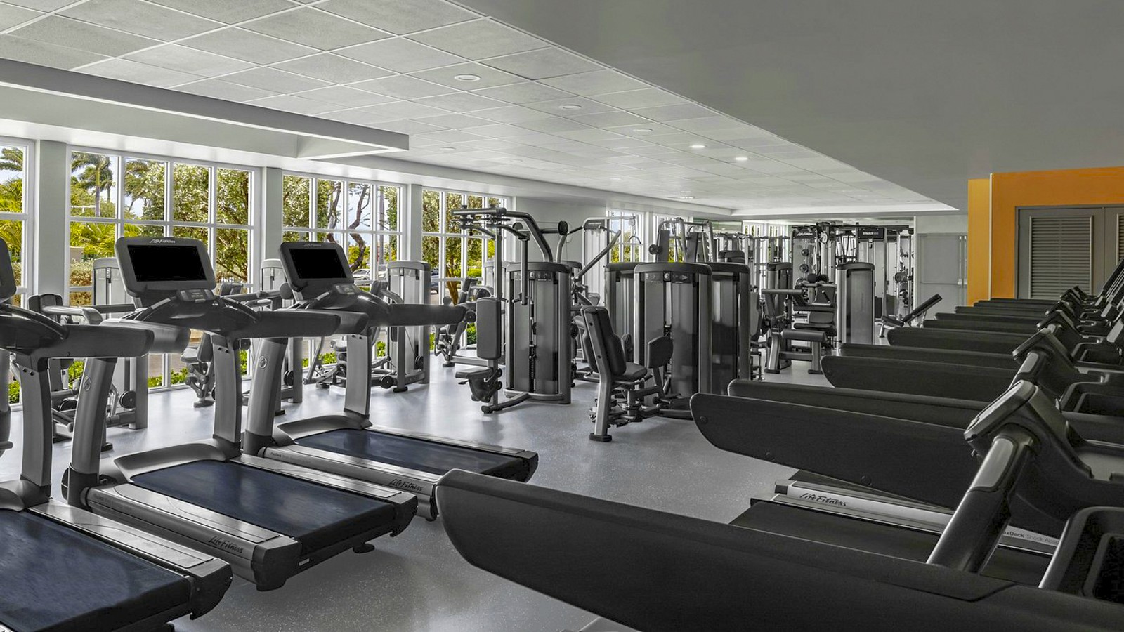 Marriott’s Aruba Ocean Club - Image 6