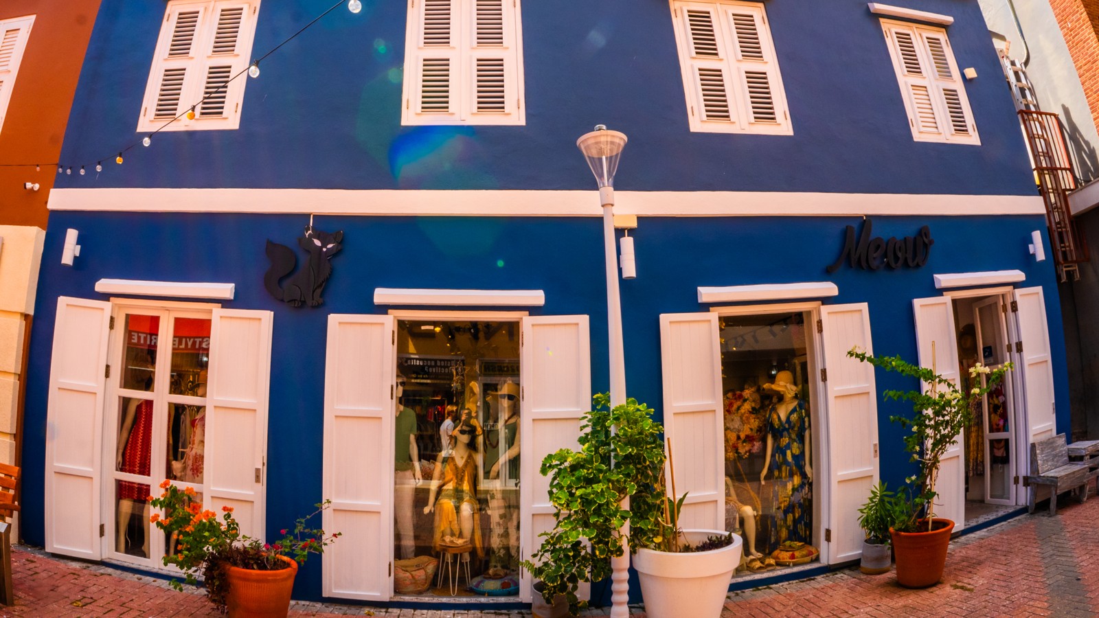 Meow Stores - Image 2