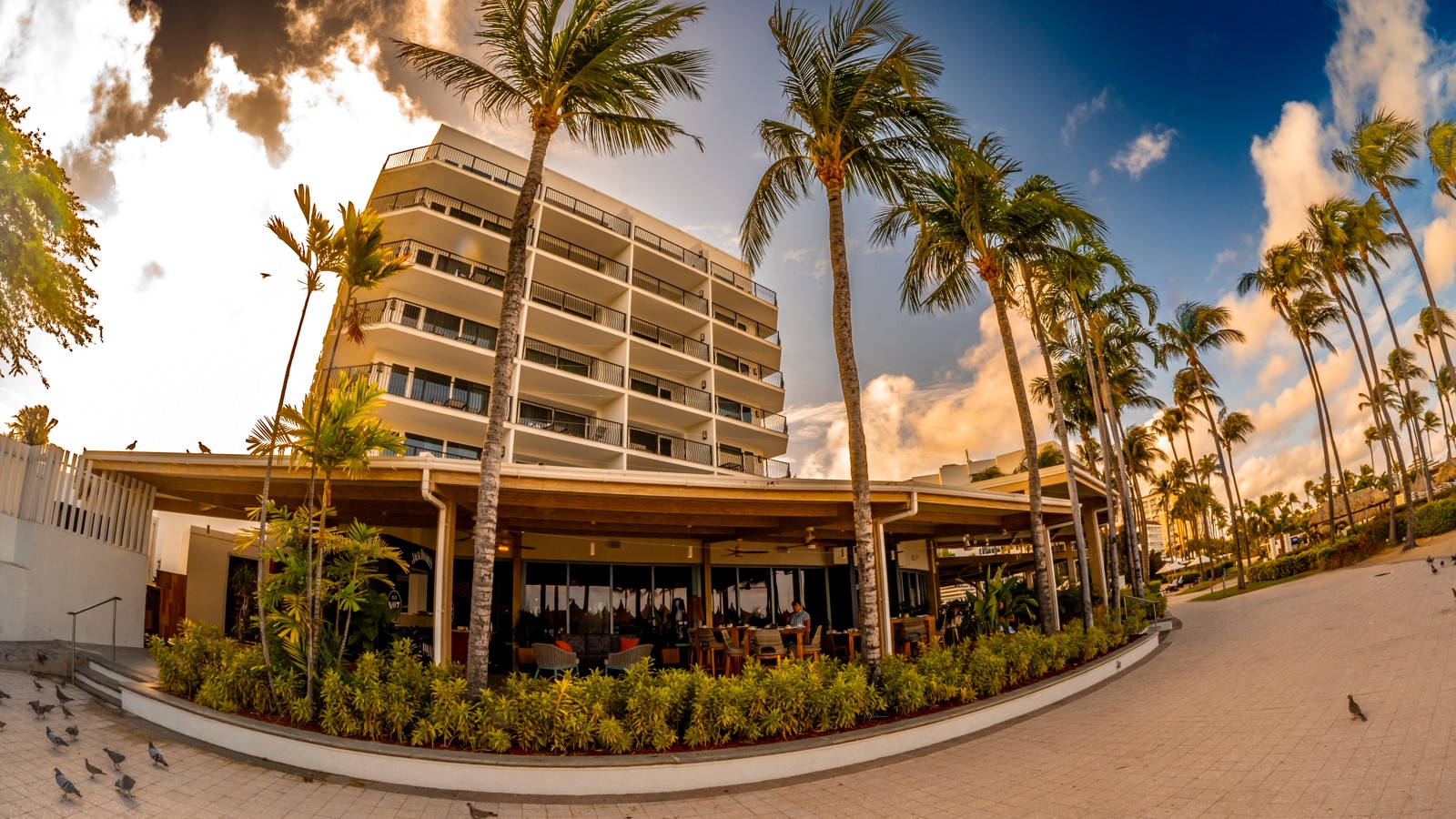 Mercat Aruba - Image 2