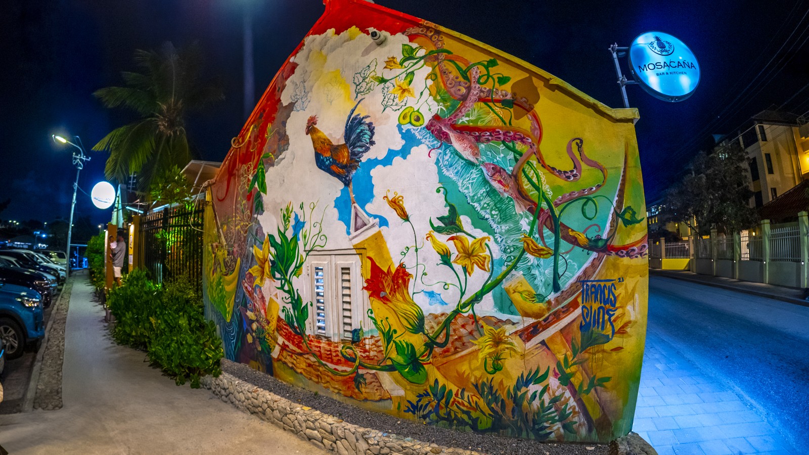 Mosa/Caña - Image 13