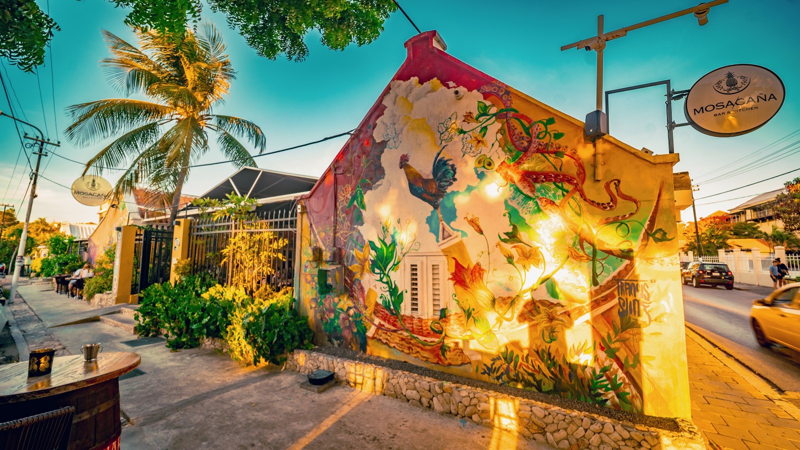 Mosa/Caña - Image 1