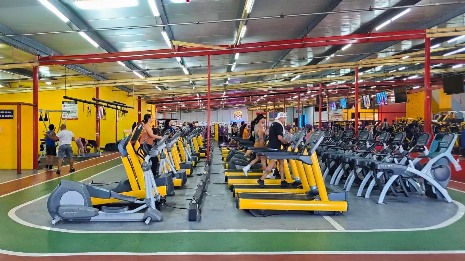 My Fitness Gym - Image 1