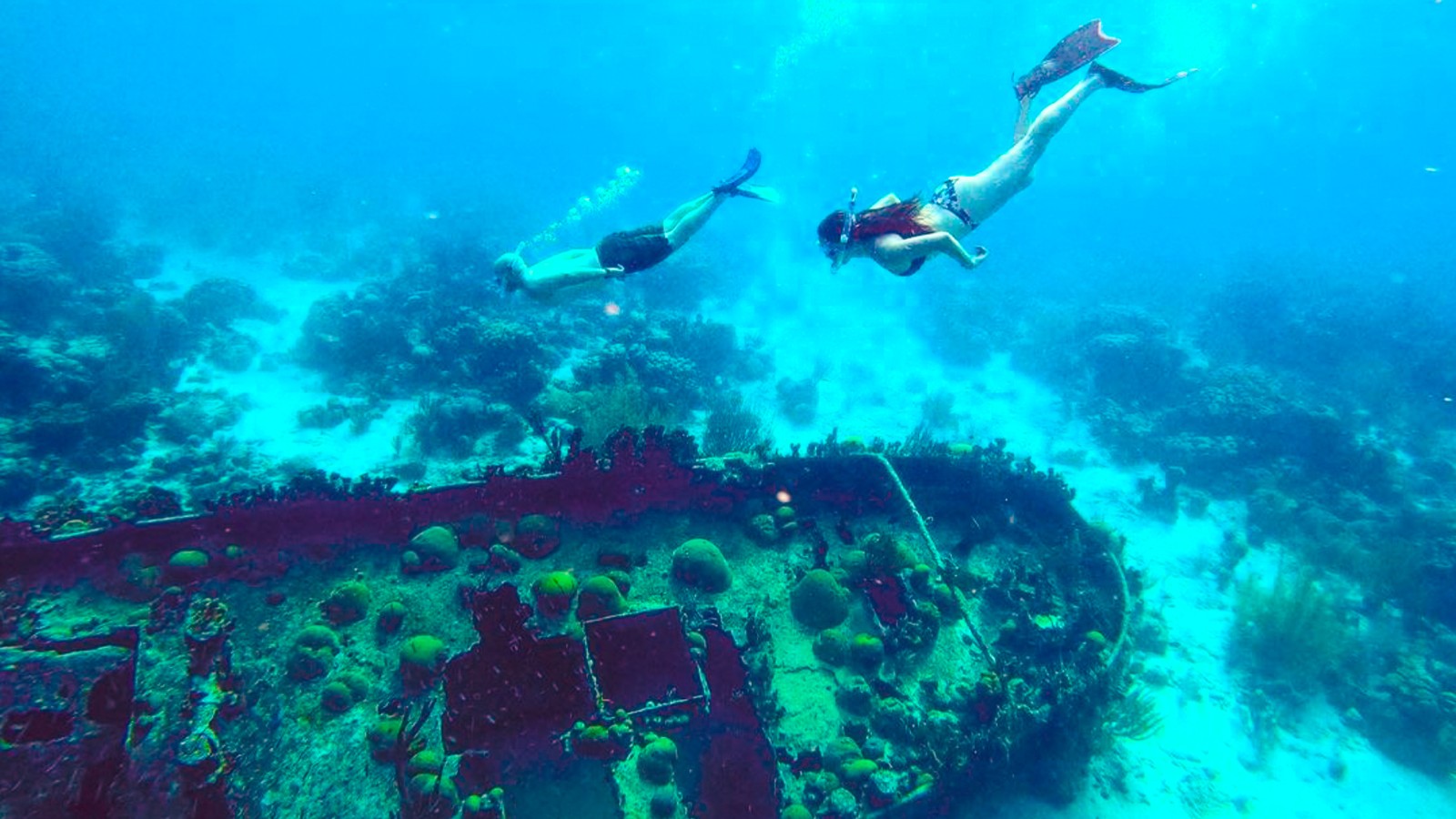 Myronchi Trip - Image 1