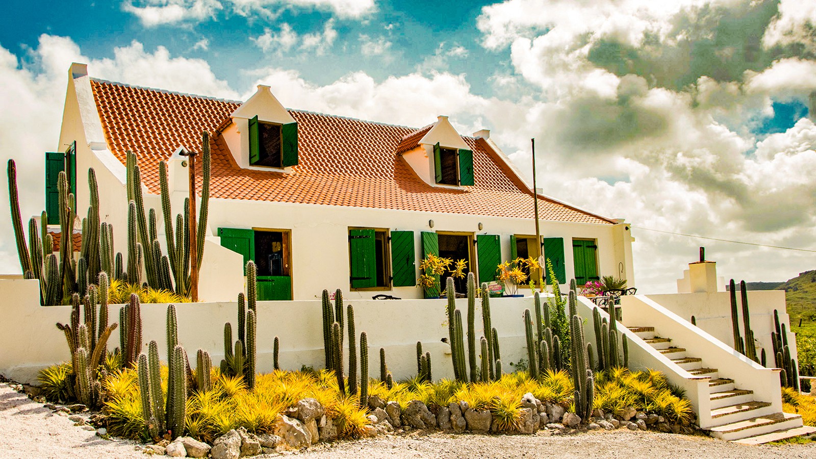 Nena Sanchez Gallery - Image 1