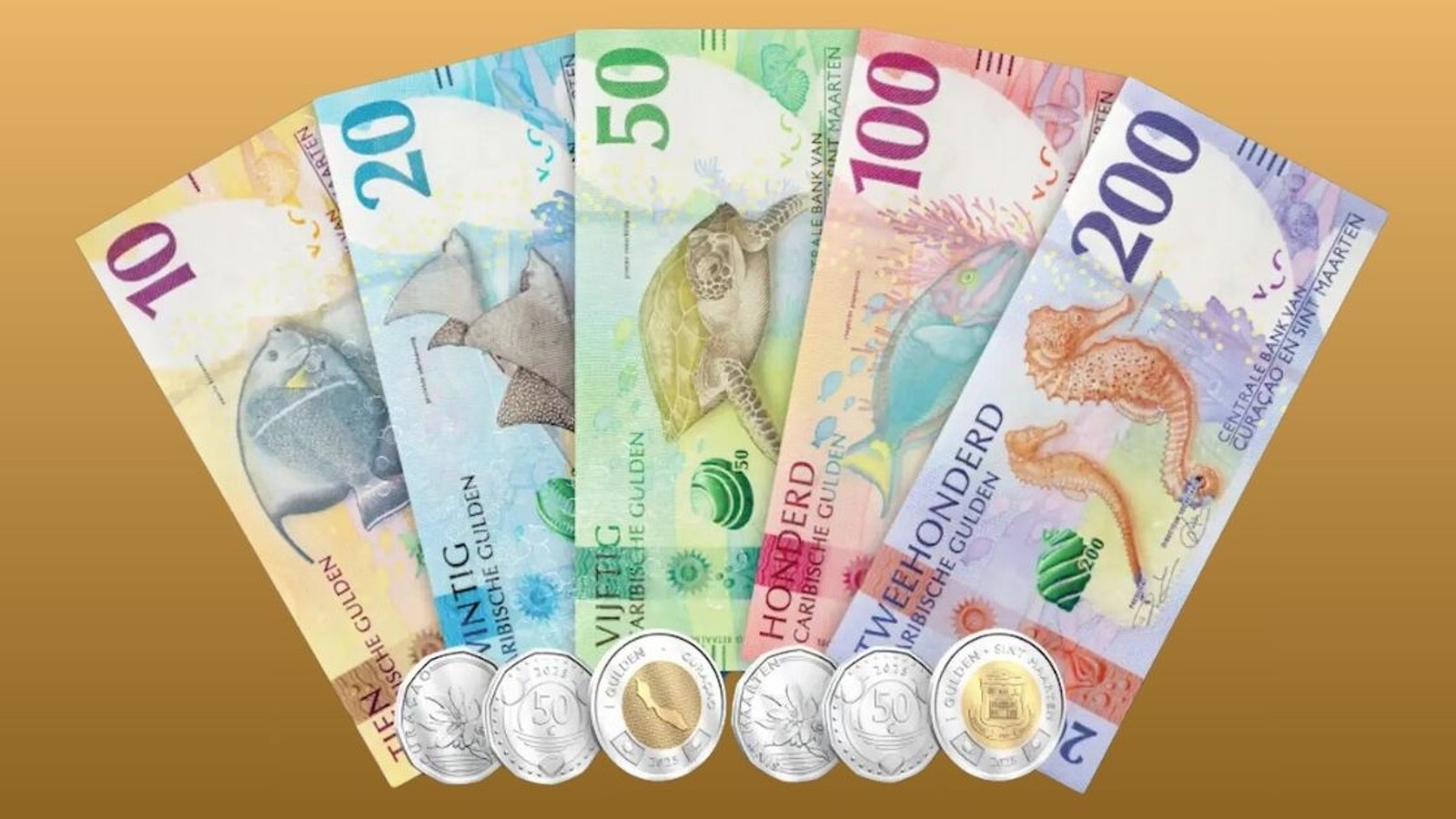 08. Currency in Curaçao - Image 1