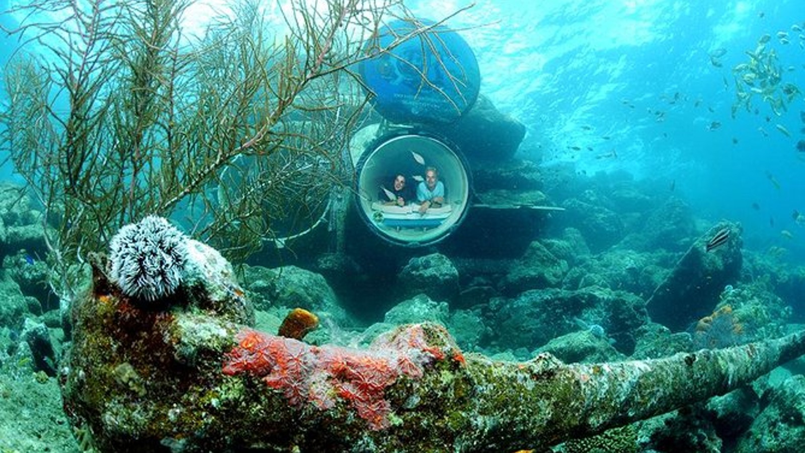 Ocean Lens Underwater Observatory - Image 1