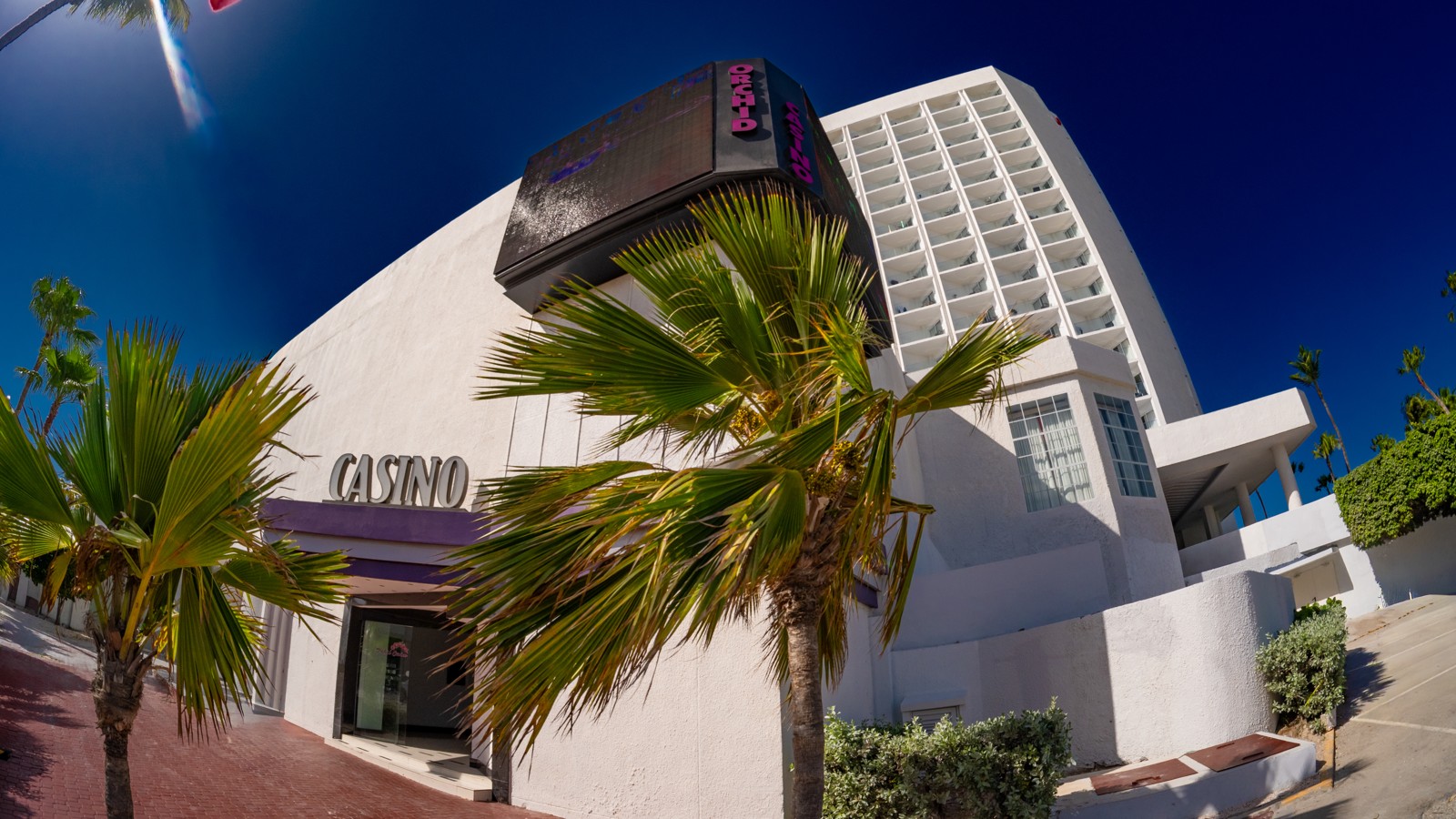 Orchid Casino Aruba - Image 2