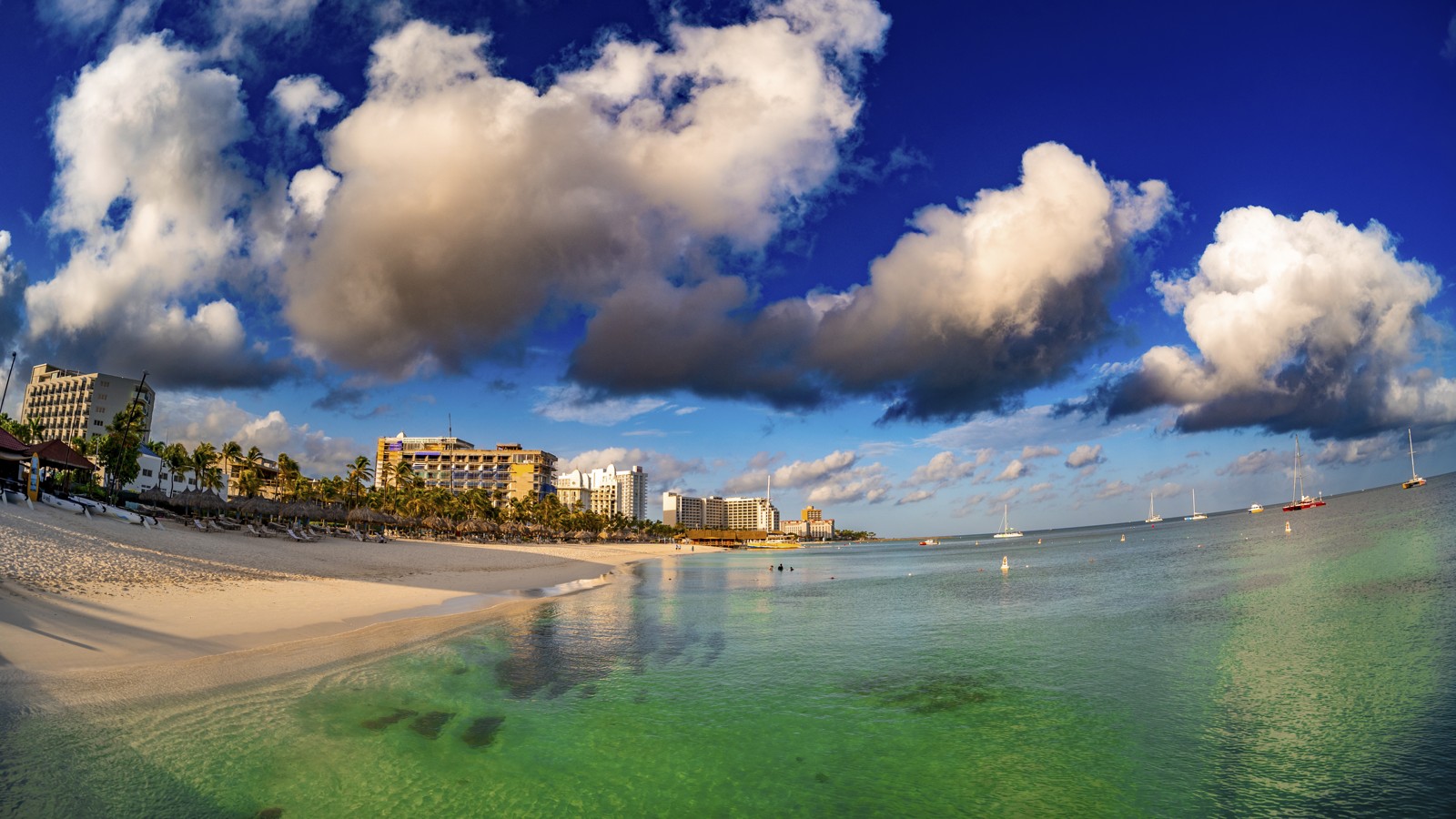 Palm Beach - Image 1