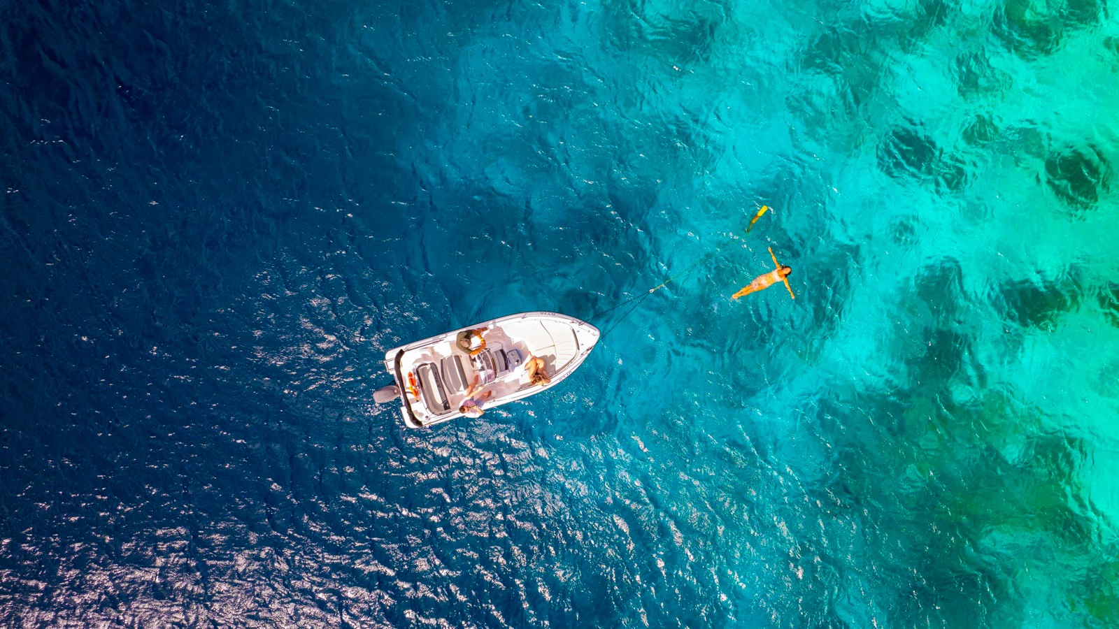 Palm Boats (Harbor Village Marina) - Image 3