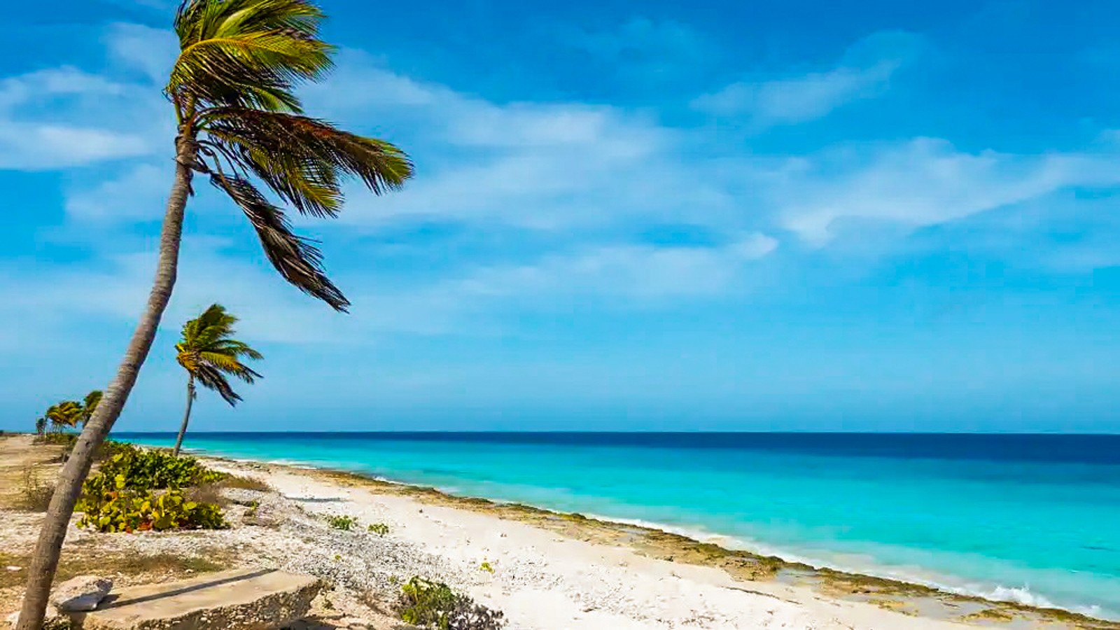 Pink Beach - Image 1